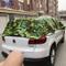 Waterproof Function and Can Be Customiz Size Hail Damage Protection Car Cover
